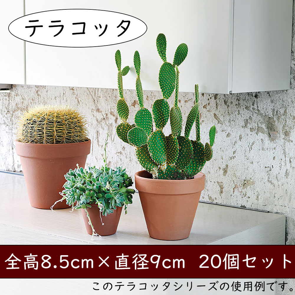 植木鉢 テラコッタ おしゃれ 小型 プランター 観葉植物 人気 おすすめ イタリア製 素焼き 園芸鉢 観葉鉢 トスカーナ スタンダード ポット ミニ  3号 20個セット : gp-de-01090 : インテリアグリーンと植木鉢の通信販売 - 通販 - Yahoo!ショッピング