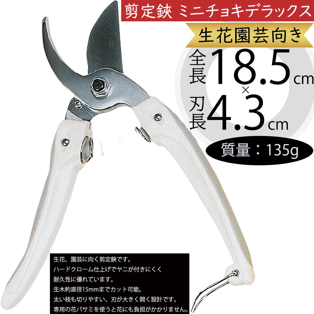 大切な方への贈り物に。パキプスミニサイズ。枝ぶり大迫力　ramat作家鉢 はさみ ハサミ 鋏 ミニチョキデラックス 剪定鋏 人気 切り花 切花用