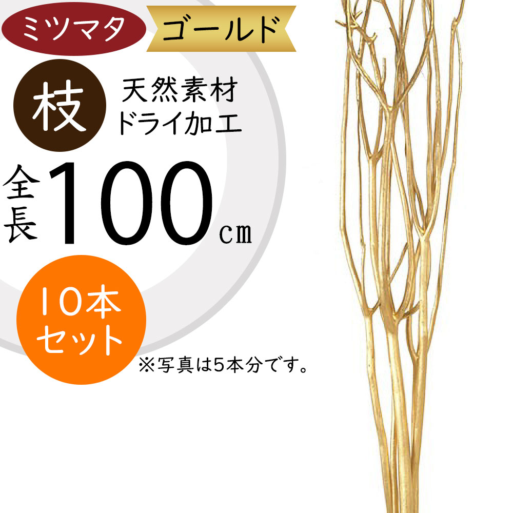 ドライ素材・ミツマタ・ゴールド