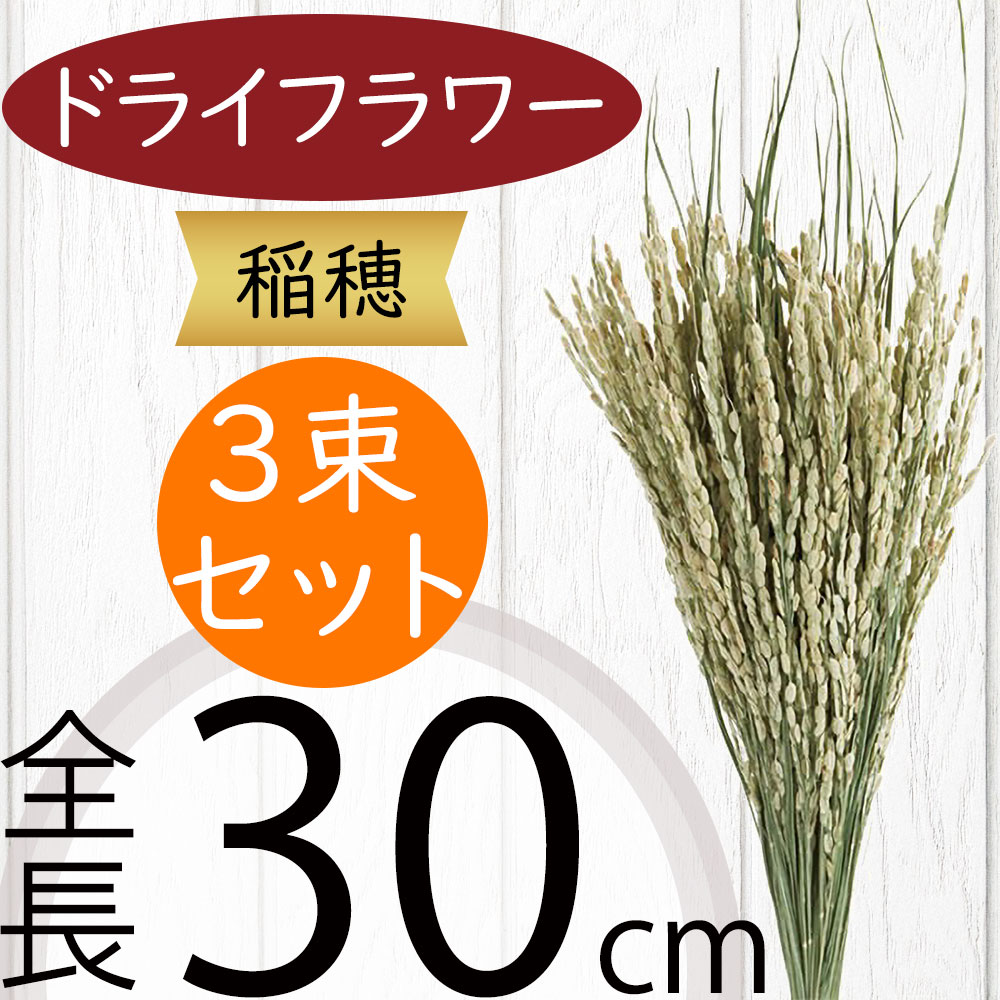 稲穂 ドライフラワー おしゃれ 天然素材 自然 観葉植物 ナチュラル