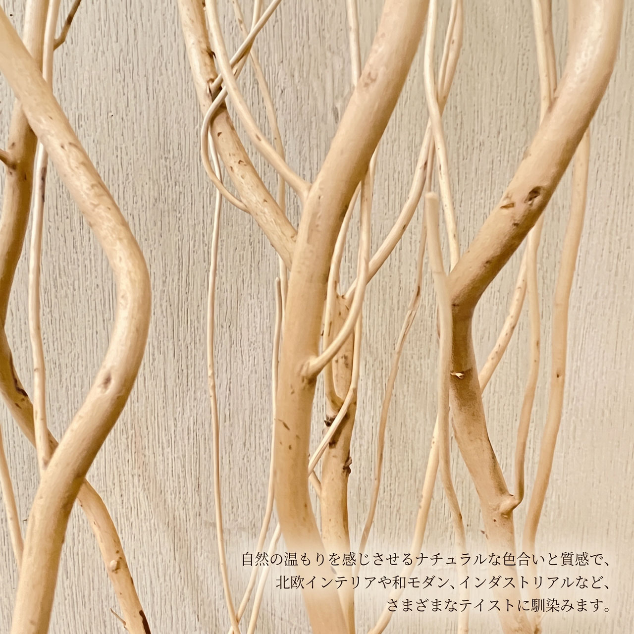 kd-dt69048-up2025-n.jpg