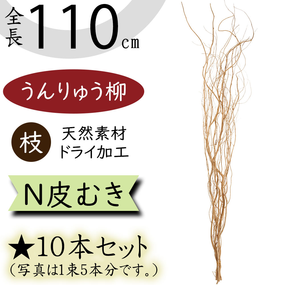 うんりゅう柳 雲竜柳 ドライフラワー おしゃれ N皮むき ウンリュウ