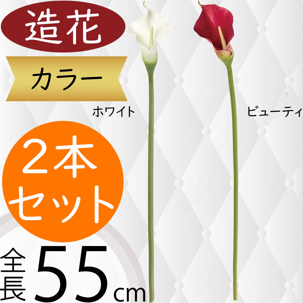 kd-f19w18380-n1.jpg