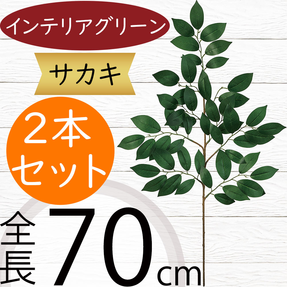 サカキ