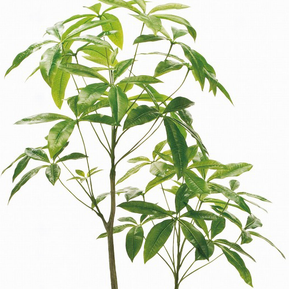 パキラ インテリアグリーン 大型 おしゃれ 観葉植物 フェイクグリーン