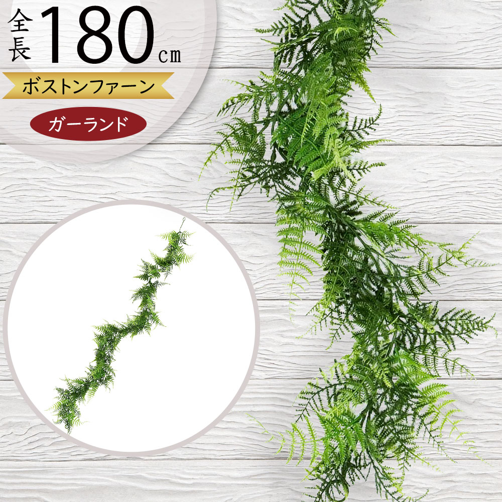 ボストンファーンガーランド
