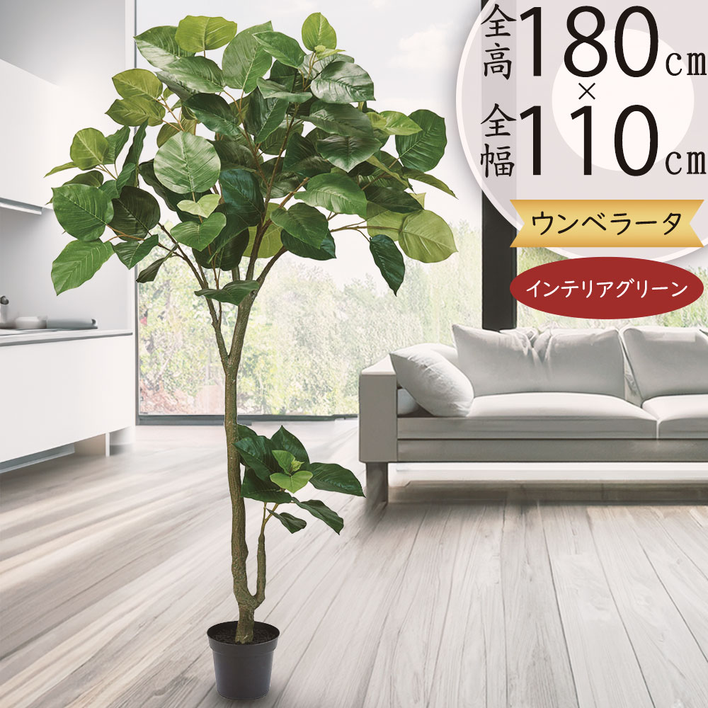 全高1.8mウンベラータ人工樹木