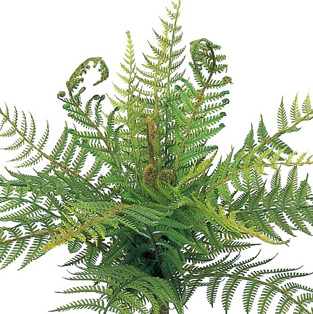 フェイクグリーン 人気 タマシダ リアル インテリアグリーン 人工観葉