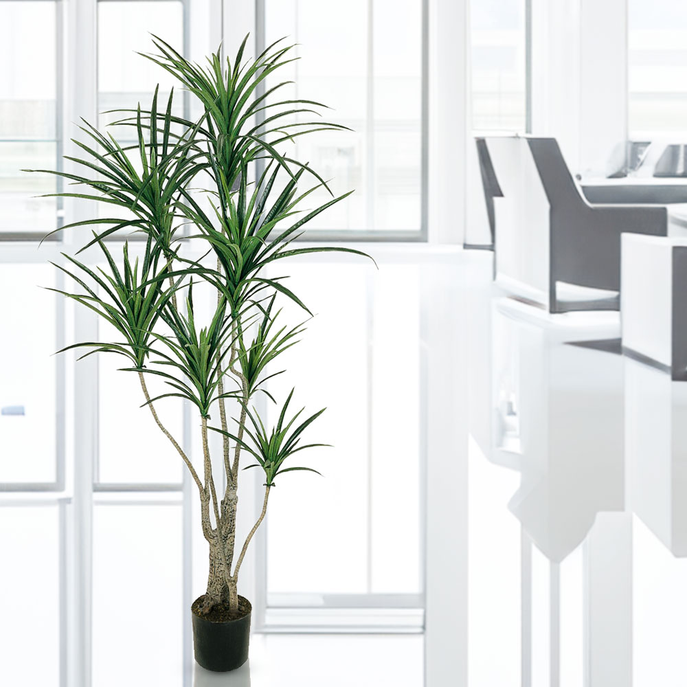 ドラセナ ユッカ 青年の木 インテリアグリーン おしゃれ 人気 フェイク