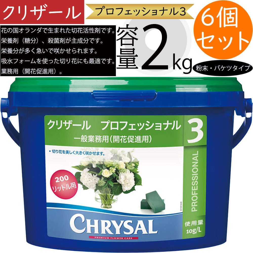 クリザール プロフェッショナル3 業務用 切り花用 切花用 2kg 6個