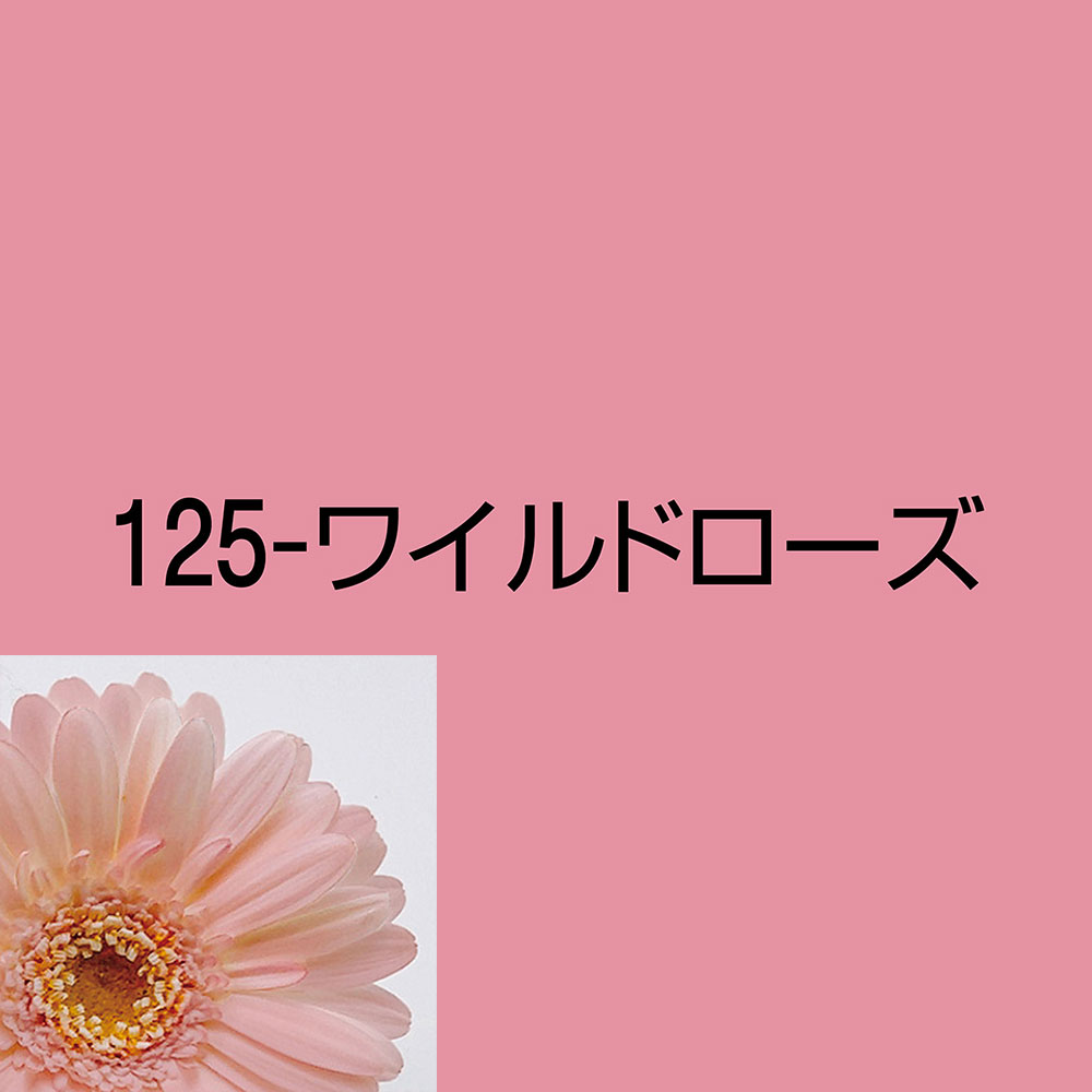 オアシス カラースプレー ジャストフォーフラワーズ 400ml