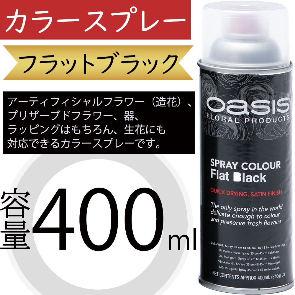 カラースプレー オアシス フラットブラック 黒 400ml 生花 アーティ