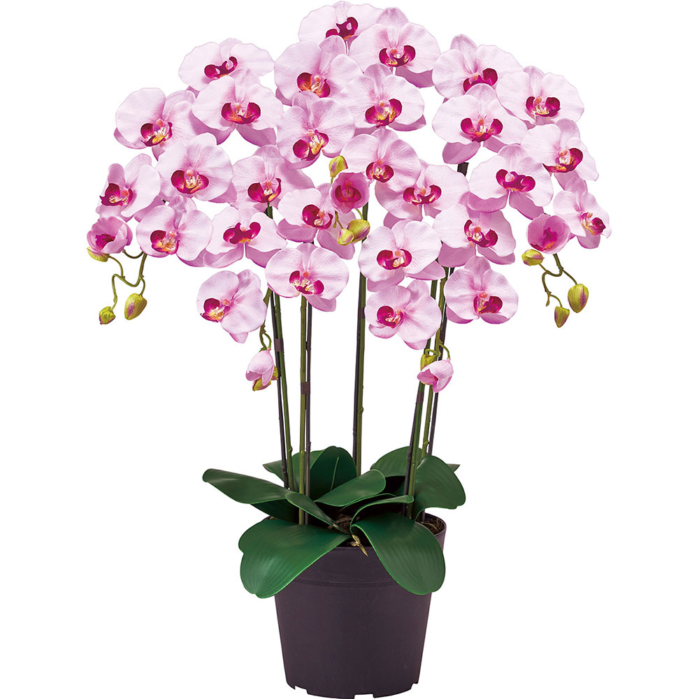 胡蝶蘭 鉢花 5本立 オーキッド おしゃれ 造花 リアル 人気 おすすめ