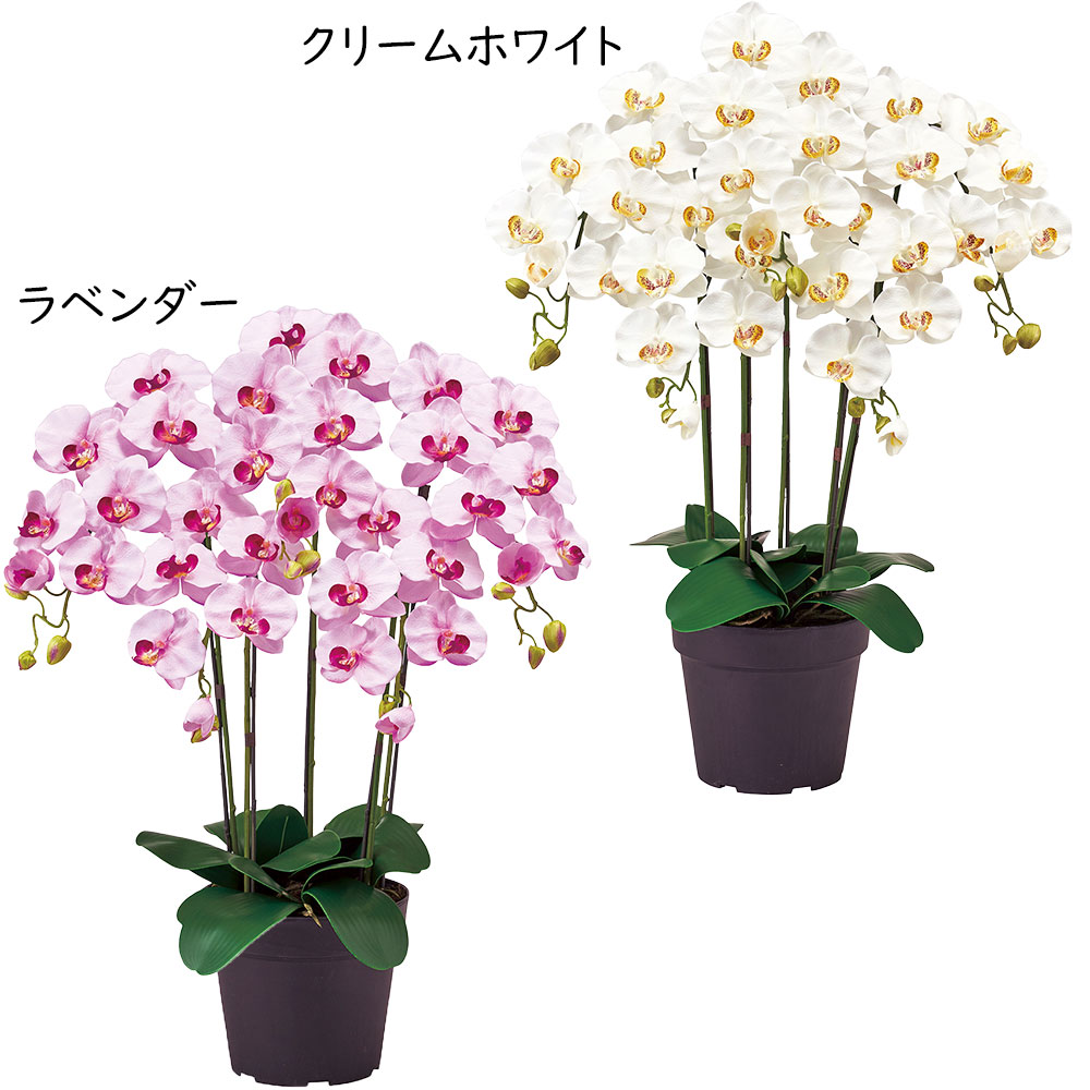 専用　クレイフラワー　胡蝶蘭とラベンダー DECOクレイクラフトカリキュラム作品 | クレイフラワーショップ