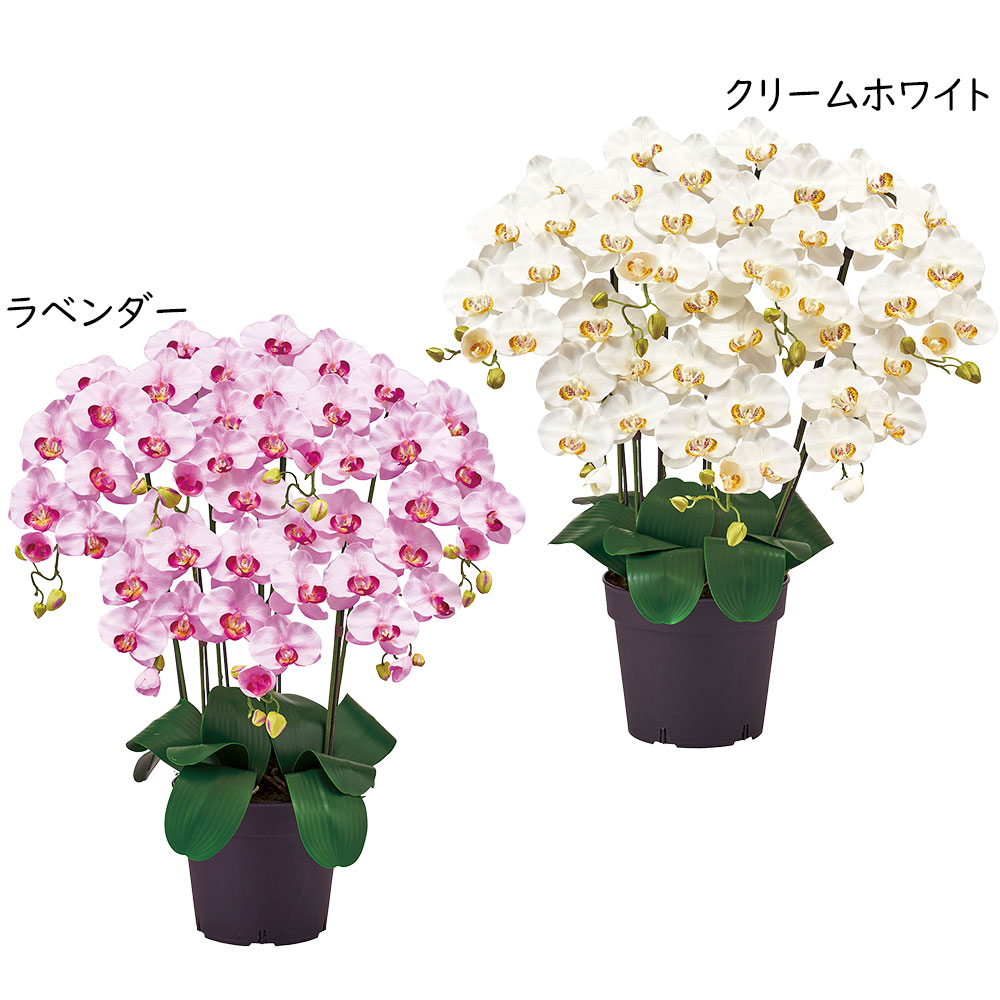 胡蝶蘭 鉢花 7本立 オーキッド おしゃれ 造花 リアル 人気 おすすめ