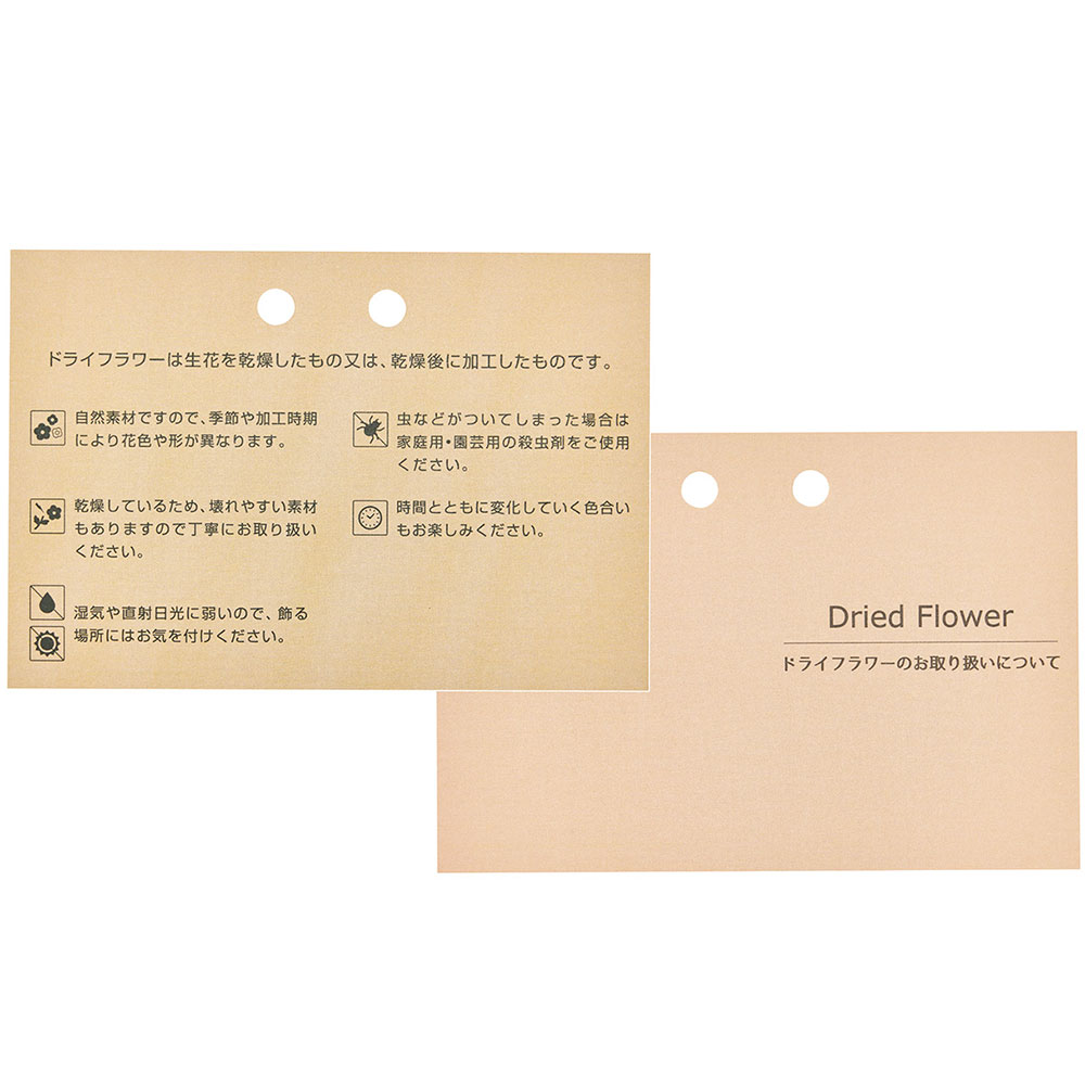 ドライフラワー用 説明書 メッセージ カード おしゃれ 人気 花材