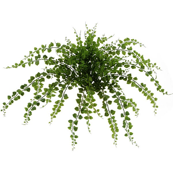 フェイクグリーン 屋外用 インテリアグリーン 人気 観葉植物 おしゃれ 造花 人工観葉植物 アートプランツ 葉物 お庭 花壇 屋外対応 アジアンタム 48cm 3本セット 関連画像1