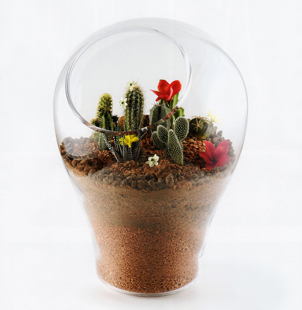 サボテン鉢セット アメリカ国旗・ルート66 カラーサンドアート サボテン鉢セット アメリカ国旗・ルート66 カラーサンドアート