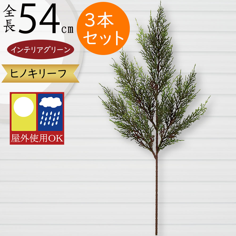 ヒバ