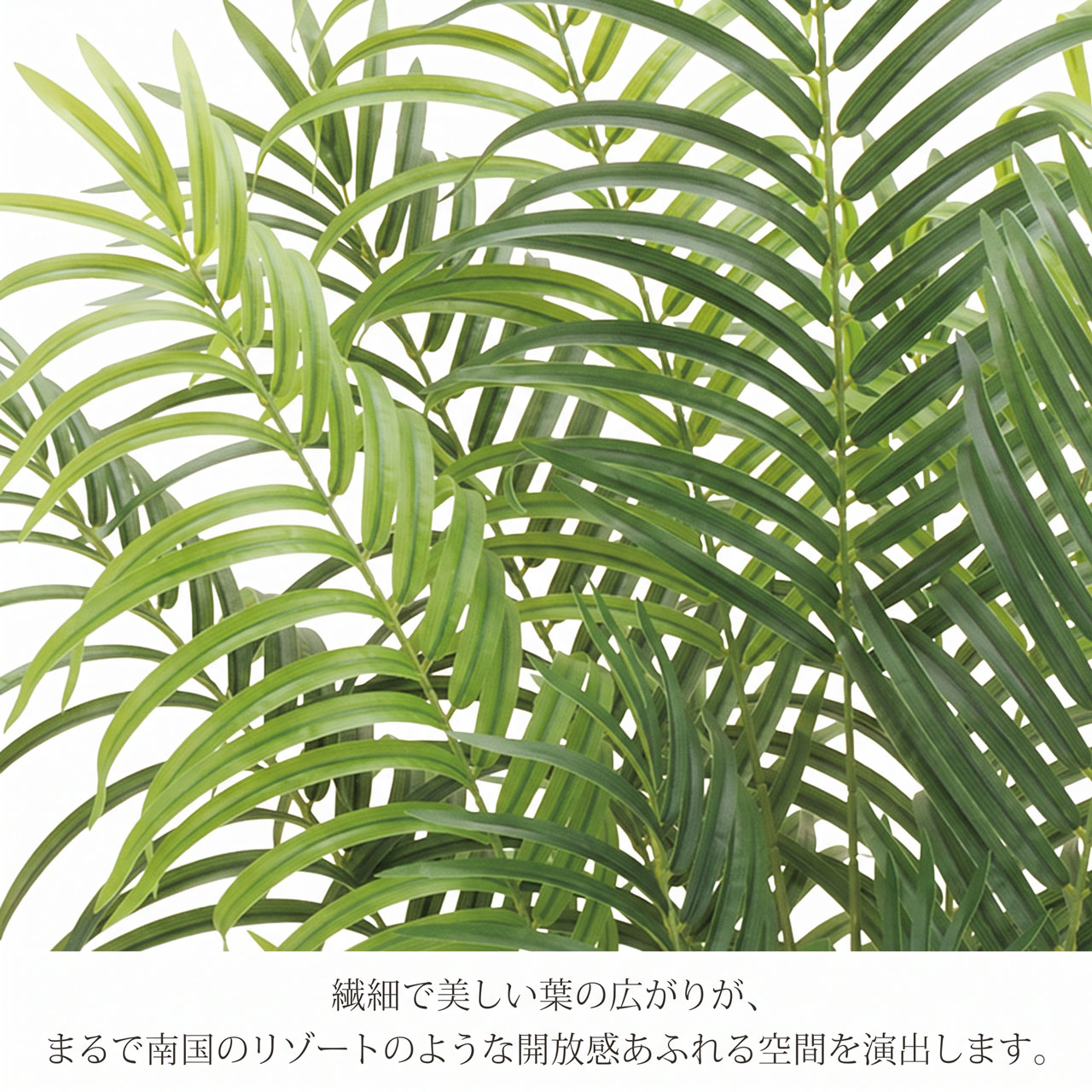 フェイクグリーン 屋外用 大型 人気 アレカヤシ おしゃれ ヤシの木