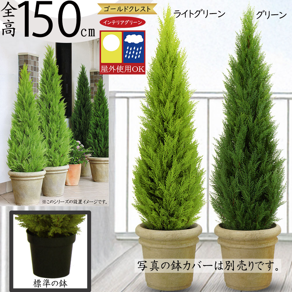 人工観葉植物・1.5m屋外用ゴールドクレスト（野外用）