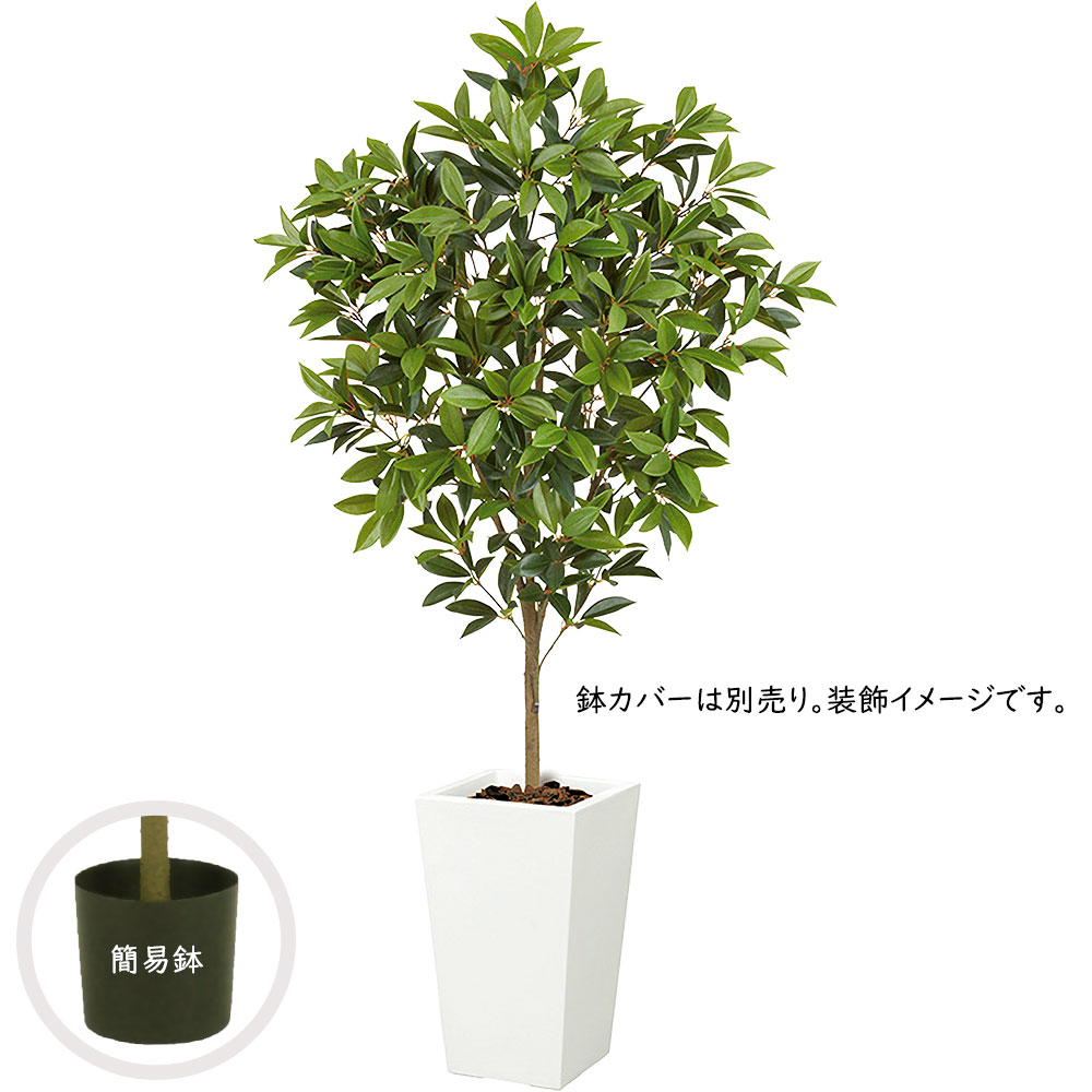 観葉植物 おしゃれ インテリアグリーン リアル 人気 フェイクグリーン