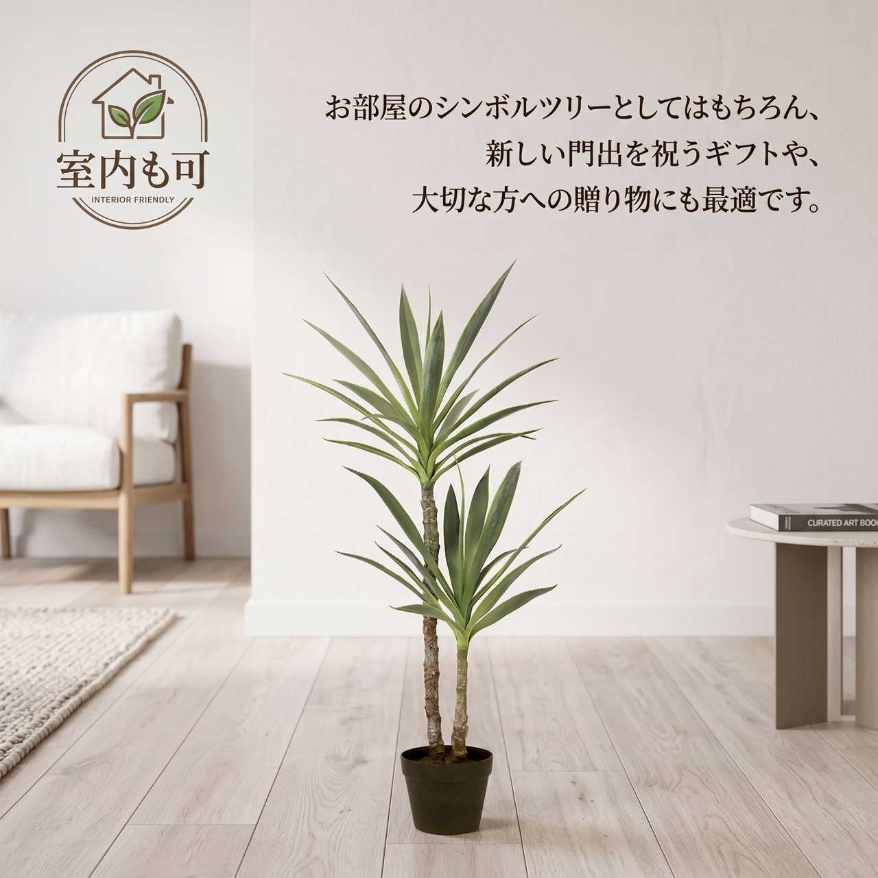 ドラセナ ユッカ 青年の木 屋外用 インテリアグリーン おしゃれ 人気