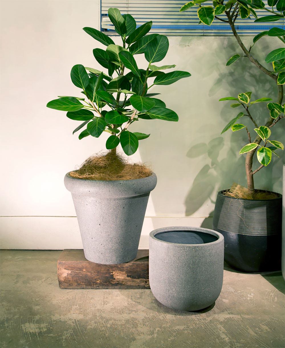 植木鉢 大型 おしゃれ 人気 おすすめ プランター ポット 観葉植物 観葉