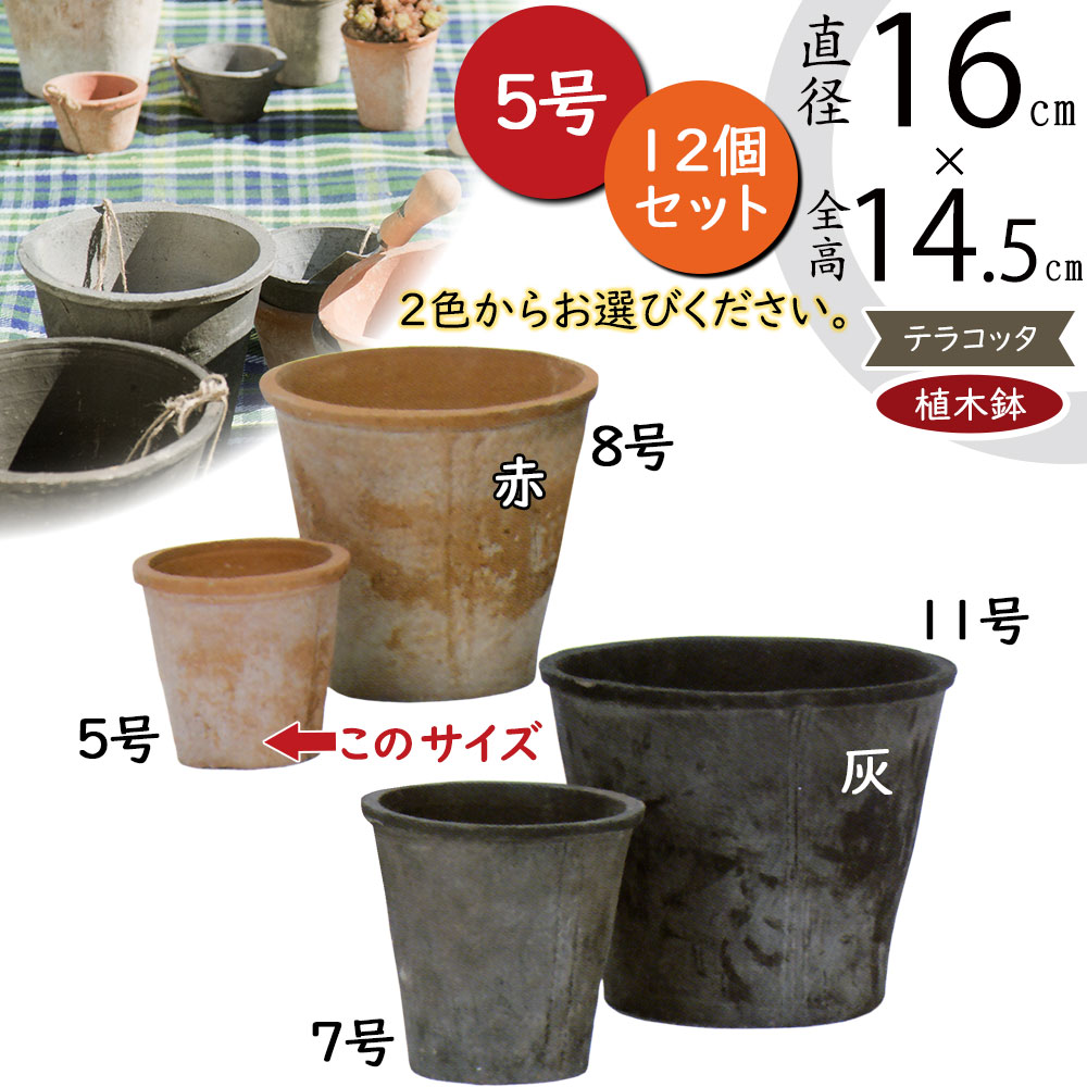 植木鉢 テラコッタ おしゃれ 小型 モスポット 人気 おすすめ