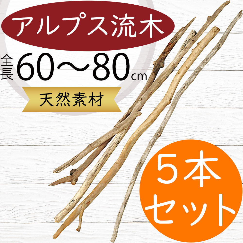 枝物 ドライフラワー おしゃれ 人気 天然素材 自然素材 ドライ素材 枝
