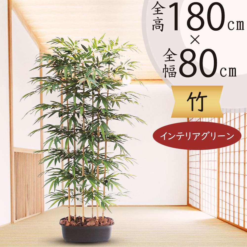 tFCNO[ ^ lC |  ^P  p[e[V Ԏd؂  L Ch ϗtA CeAO[   A a 180cm