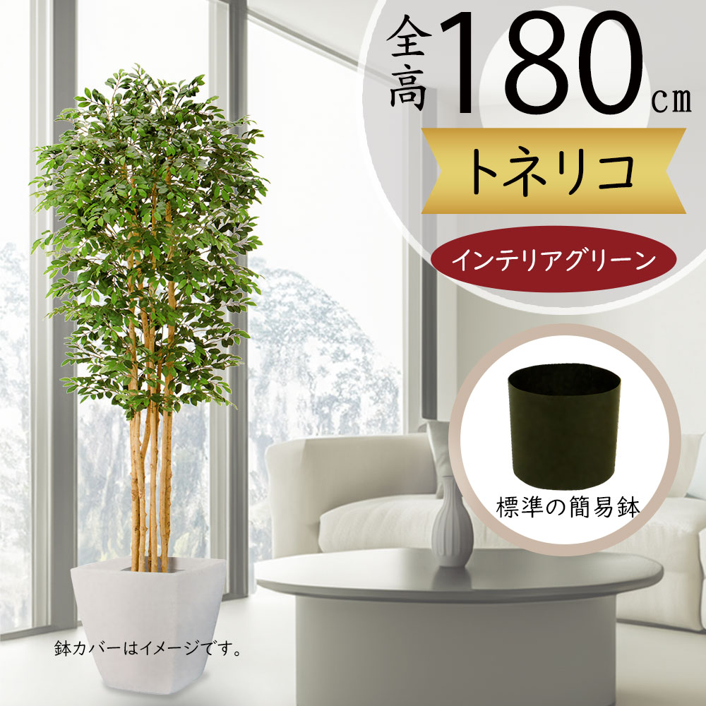 トネリコ フェイクグリーン 大型 人気 人工観葉植物 おしゃれ リアル シマトネリコ インテリア 観葉植物 造花 アートグリーン 人工樹木 新築祝い 開店祝い 180cm