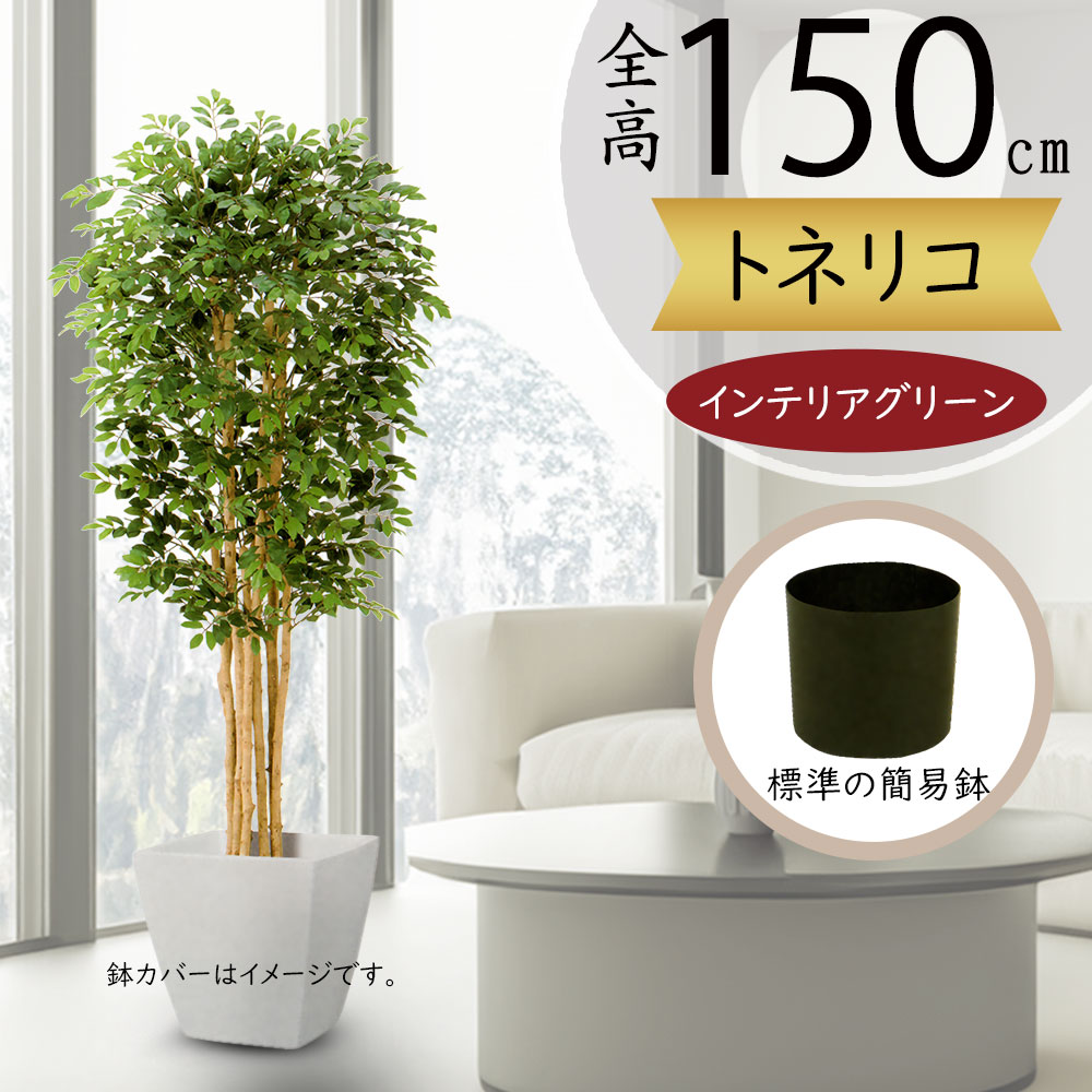 フェイクグリーン 150cmの人気商品・通販・価格比較 - 価格.com