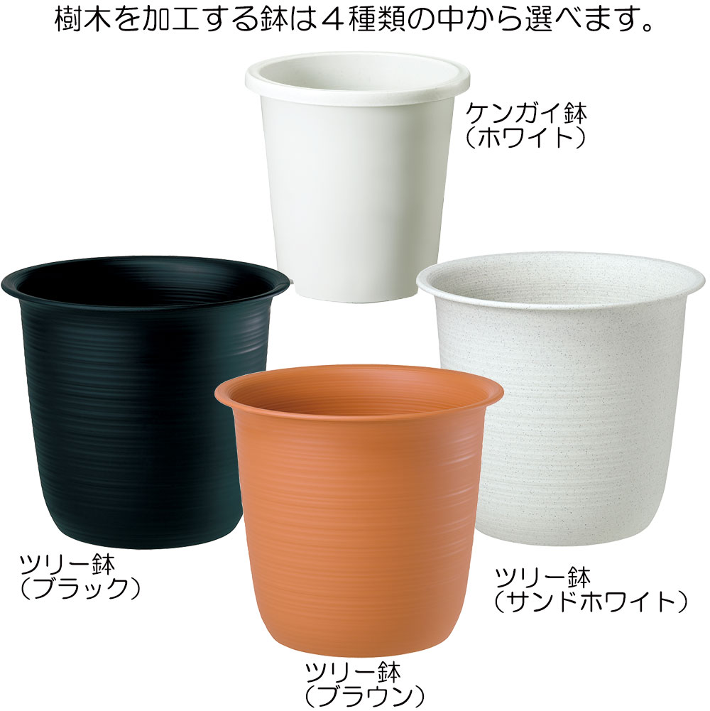 加工用の鉢は４種類の中からお選びください。