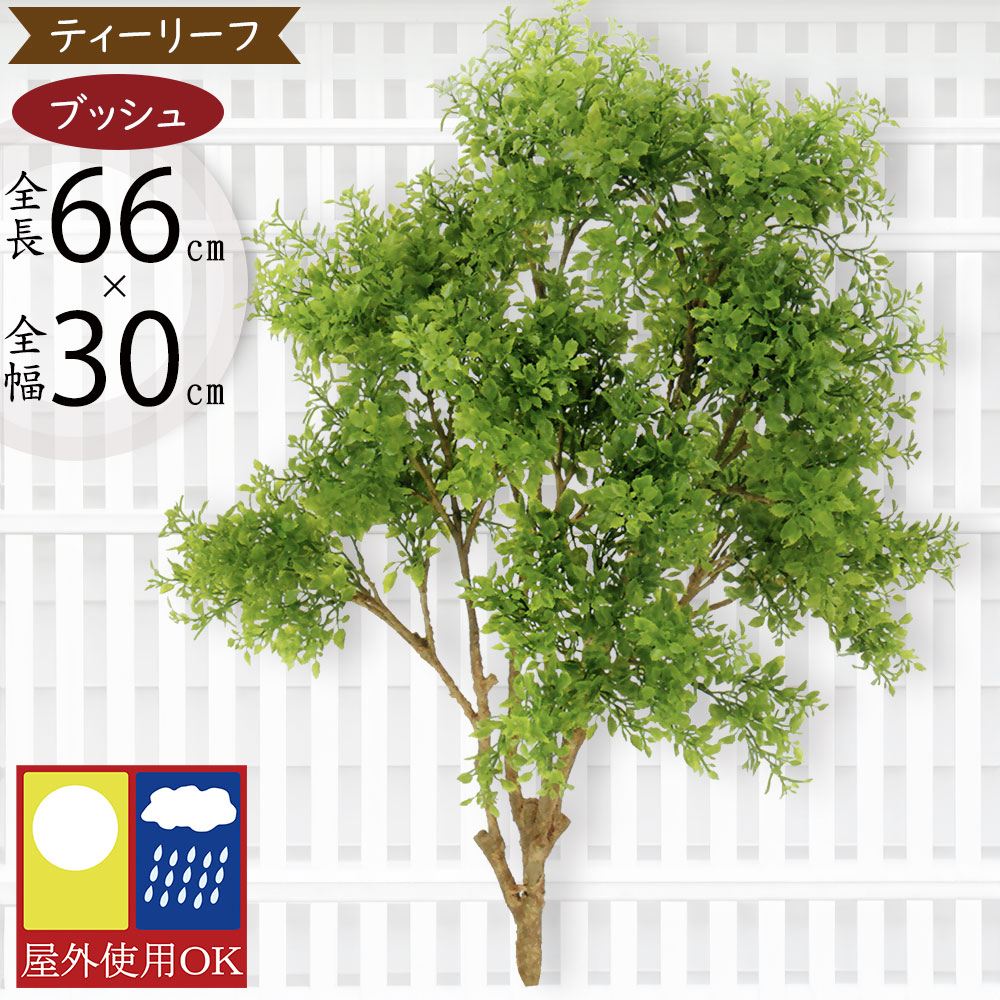 屋外用人工観葉植物ティーリーフ
