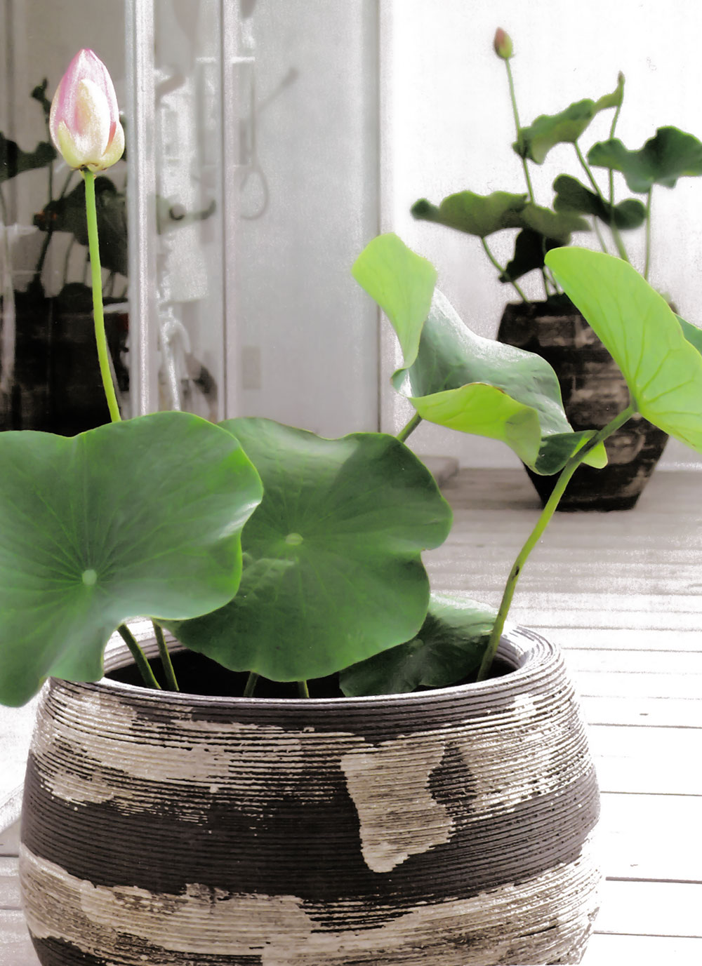 鉢カバー プランターカバー おしゃれ 大型 人気 観葉植物