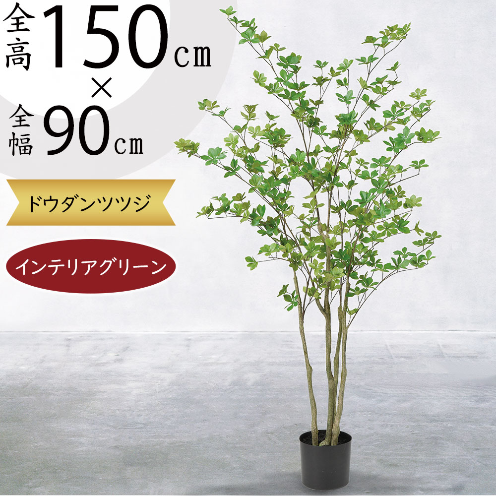 ドウダンツツジ