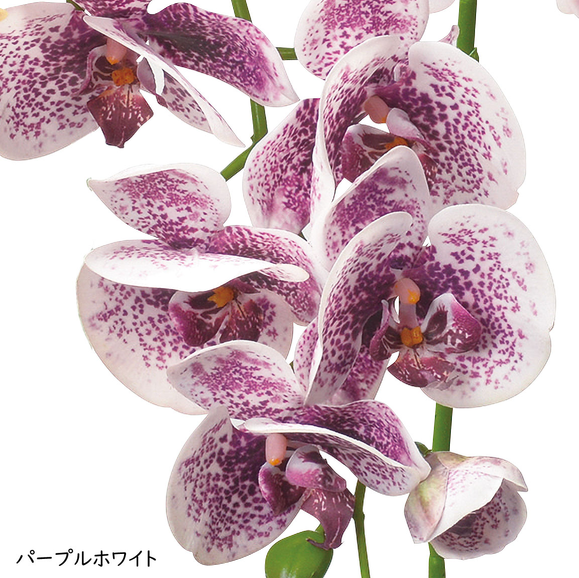 胡蝶蘭 造花 大型 おしゃれ 人気 コチョウラン オーキッド