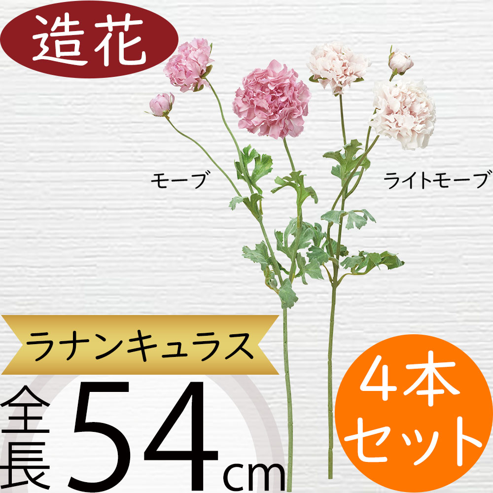 s22a-a34469-n1.jpg