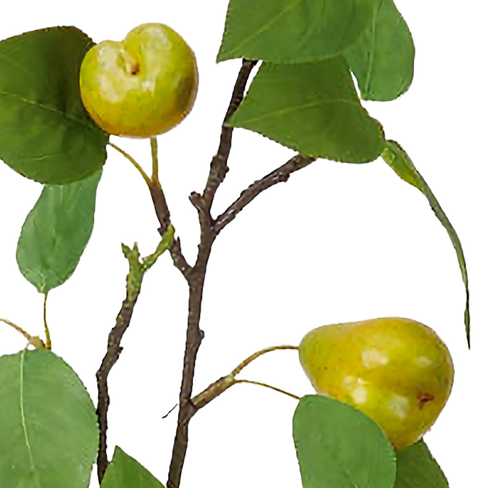 食品サンプル 洋梨 洋ナシ 洋なし ペアー リアル フェイクフード 果物