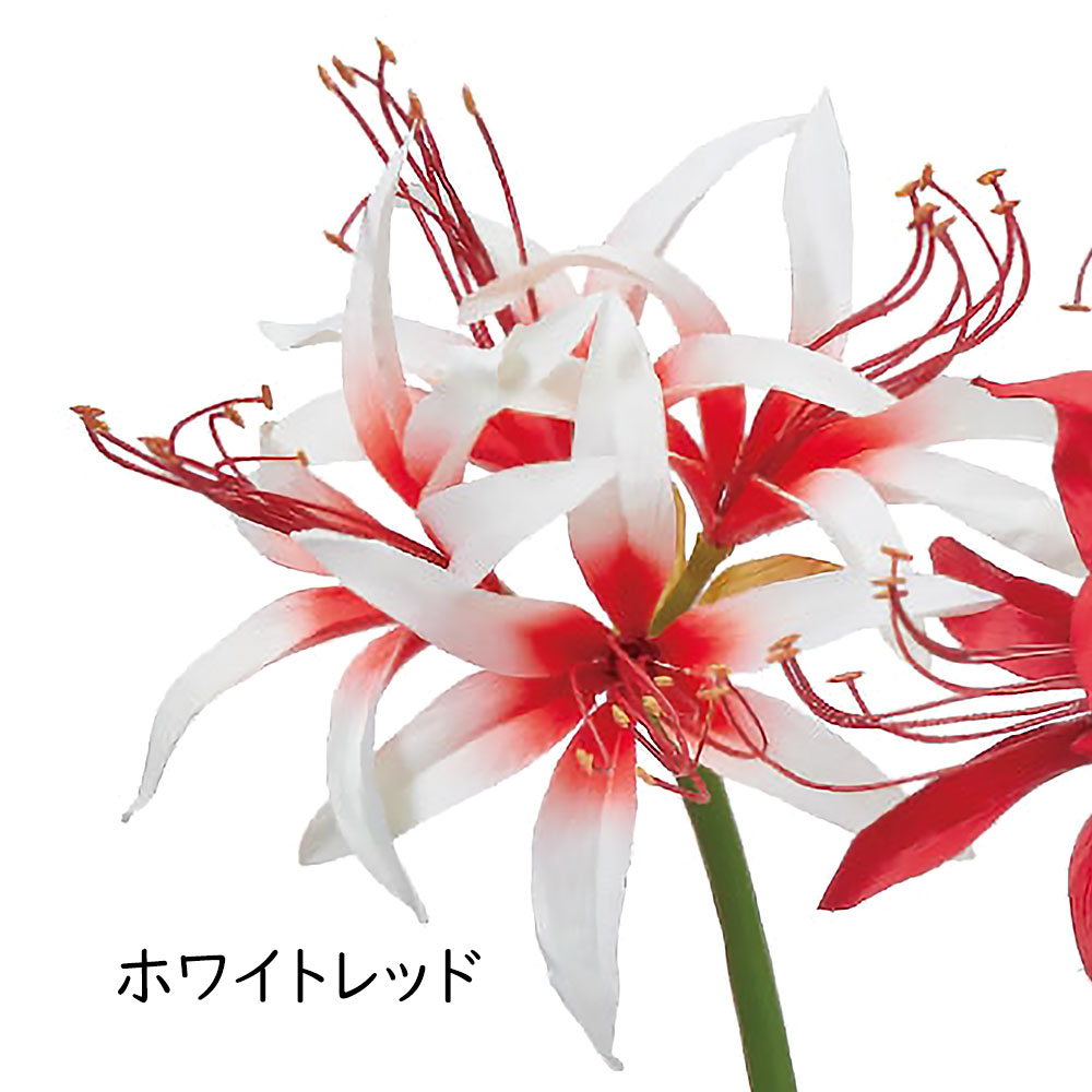 アマリリス 造花 おしゃれ 大型 人気 アーティフィシャルフラワー 球根