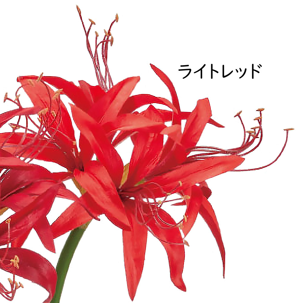アマリリス 造花 おしゃれ 大型 人気 アーティフィシャルフラワー 球根