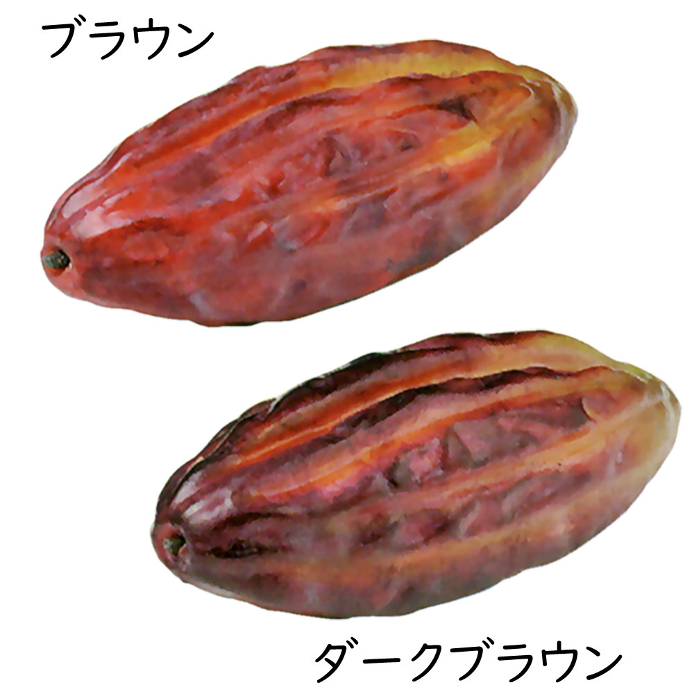 カカオの食品サンプル