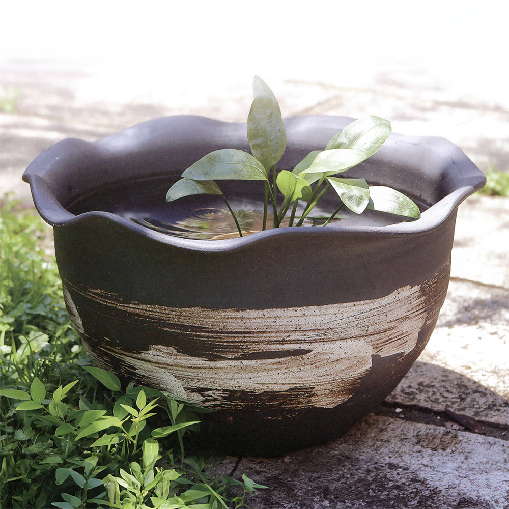 水鉢 おしゃれ 人気 陶器製 おすすめ 信楽焼 国産品 日本製