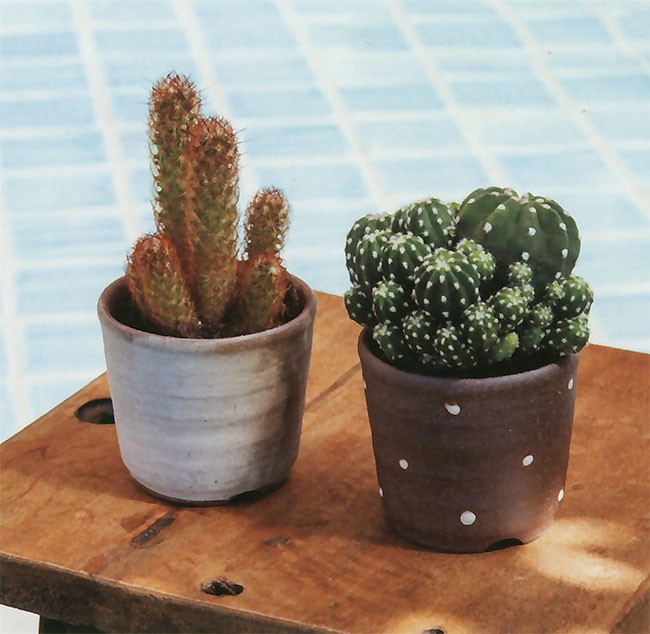 信楽焼 プランター keishin_bs-sa114-4