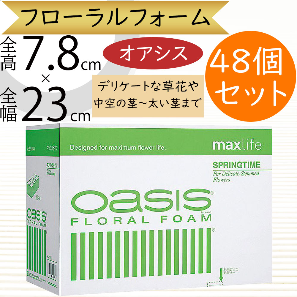 オアシス フローラルフォーム 人気 吸水 スポンジ フラワー