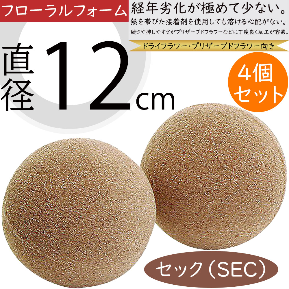 カカオホール 4個セットドライフラワー 花材 ナチュラル インテリア雑貨 sj2111-n1.jpg