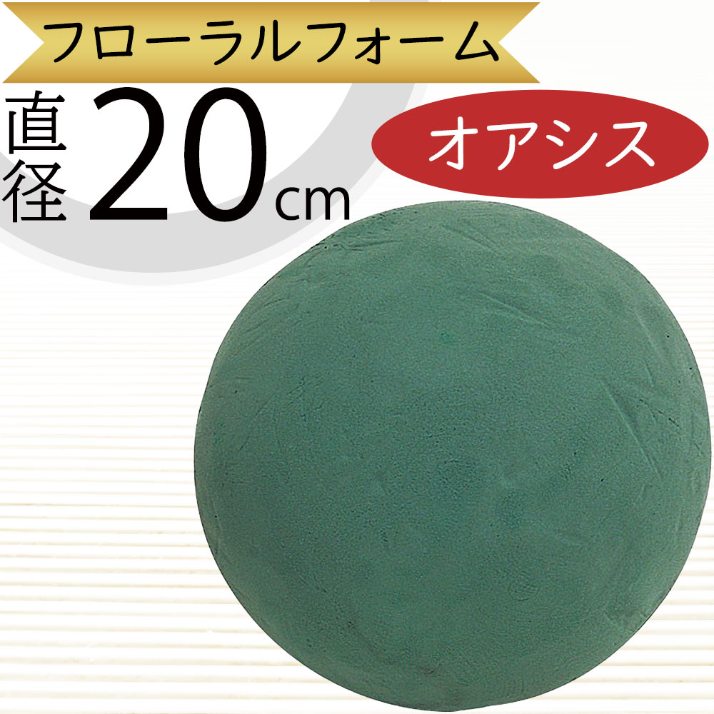 オアシス球20