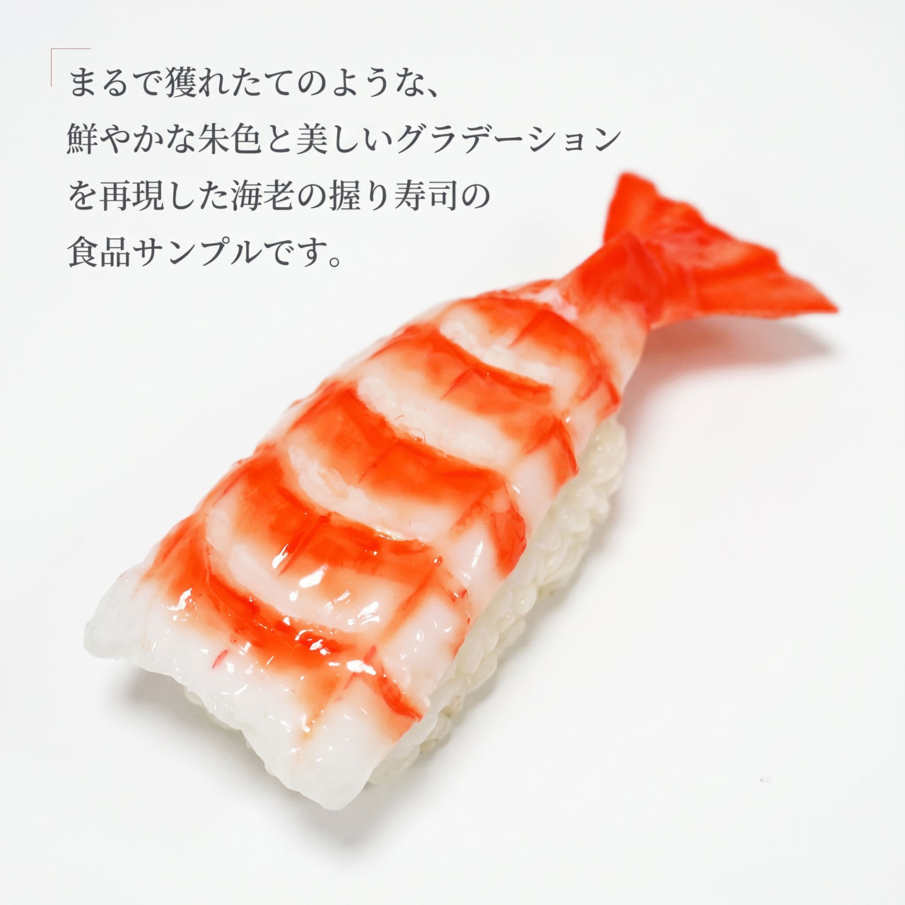 食品サンプル 国産品 フェイクフード お寿司 握り寿司 すし スシ 海老