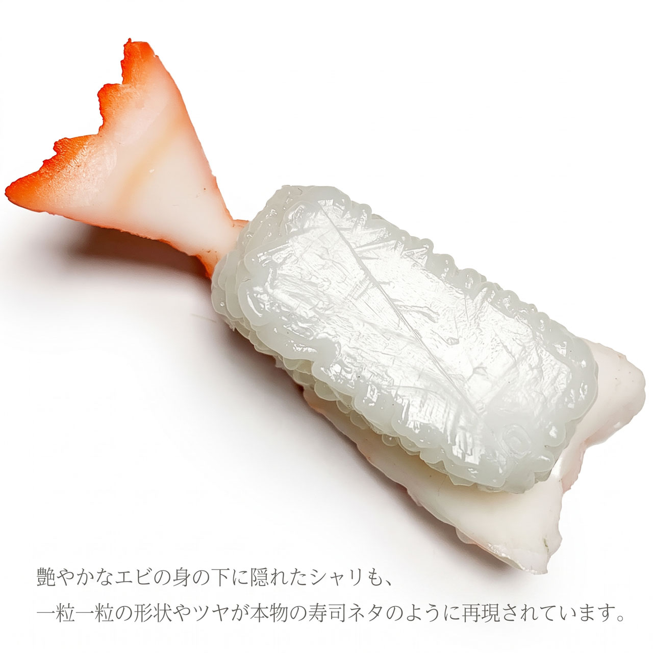 食品サンプル 国産品 フェイクフード お寿司 握り寿司 すし スシ 海老